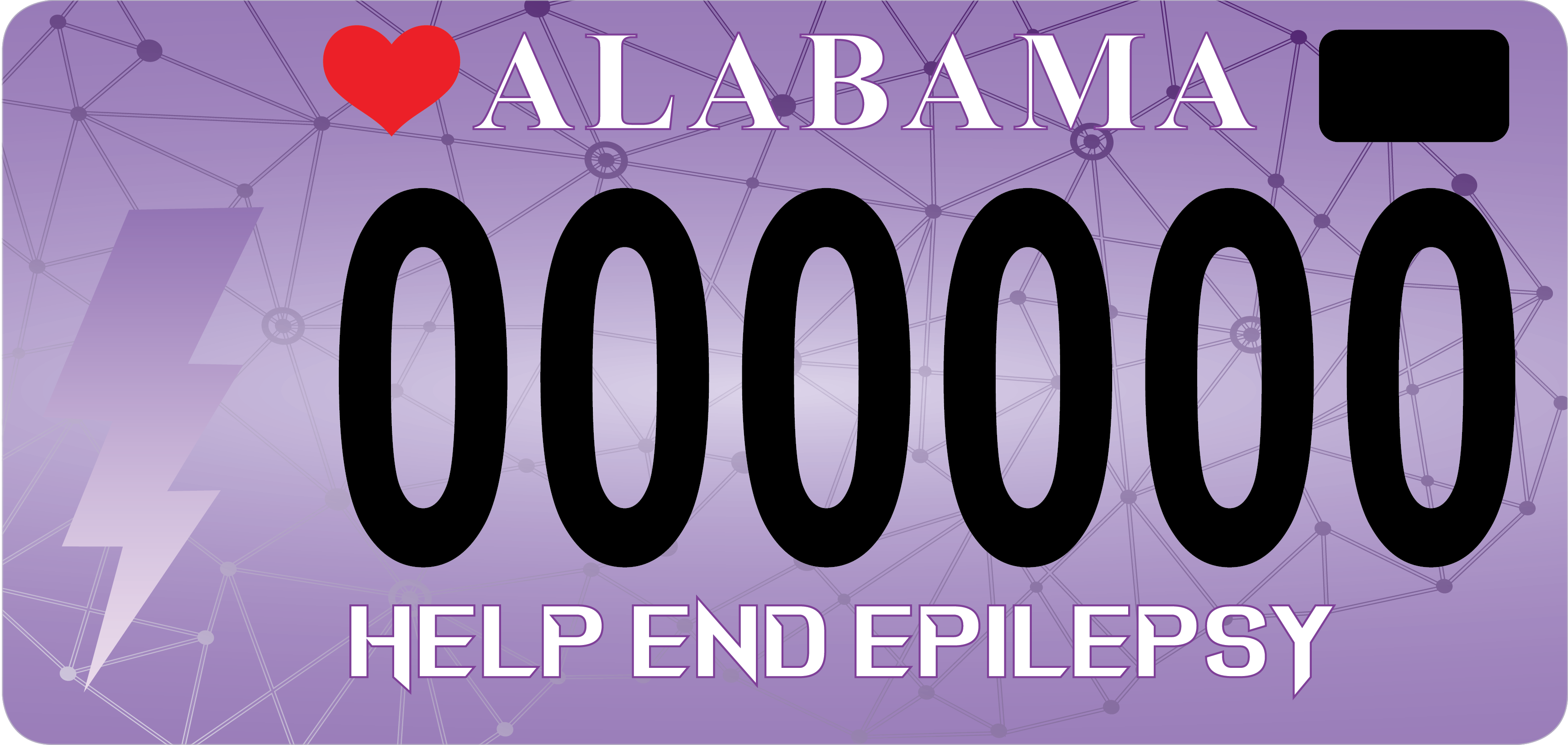 Help End Epilepsy Car Tage