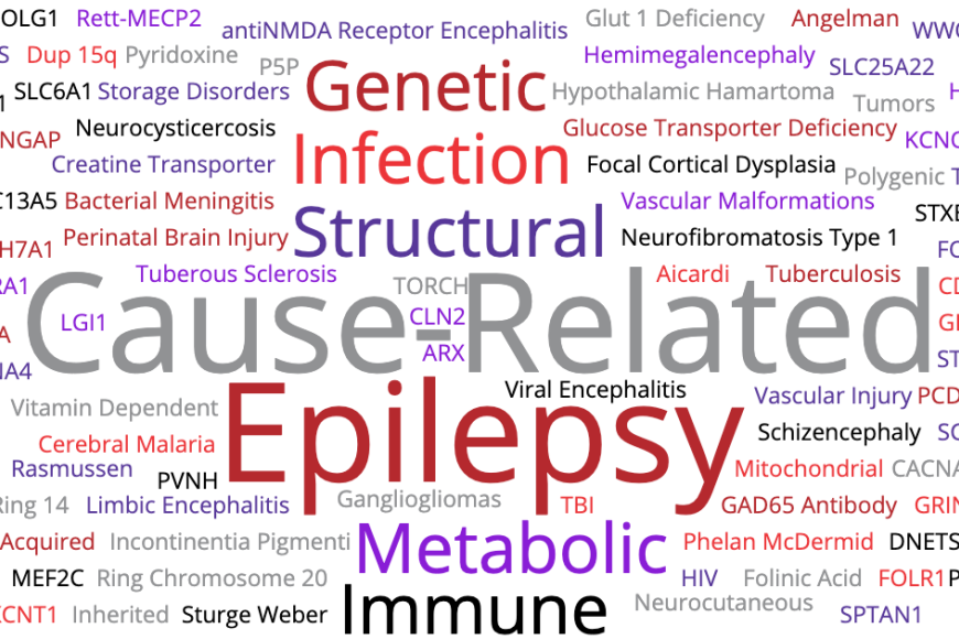 wordcloud-cause-related-epilepsy-OG-TW