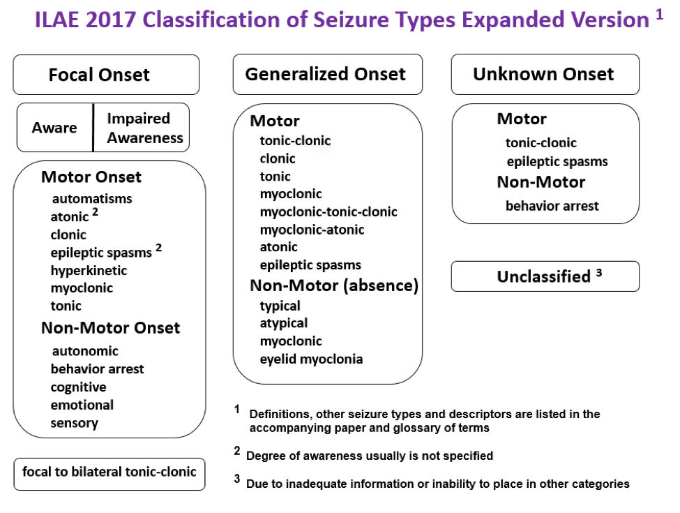 Expanded Seizure Classifications